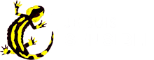 Association JE SUIS SENSIBLE