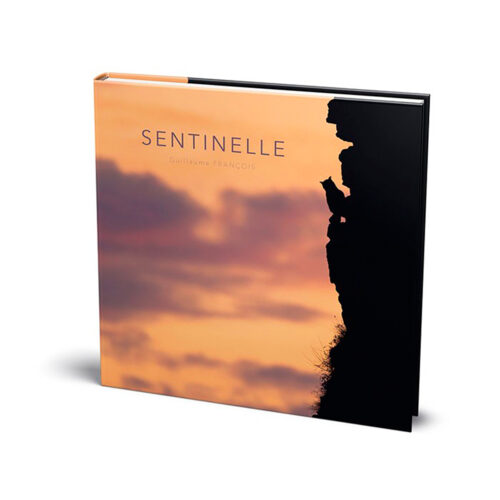 Sentinelle