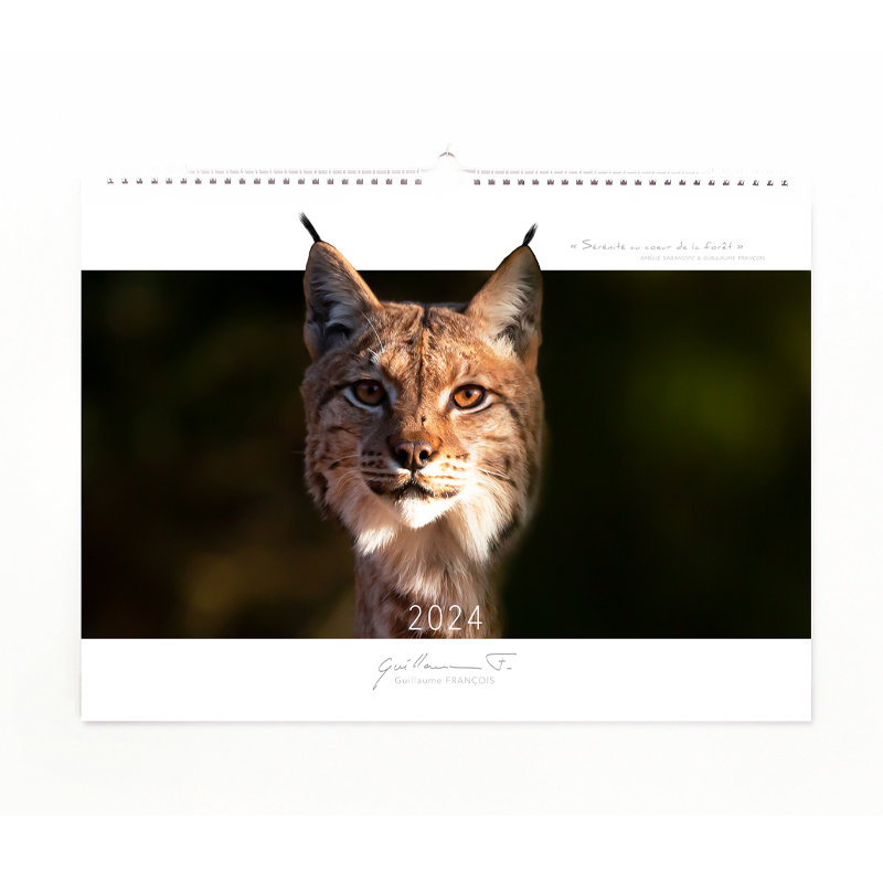 Calendrier d’art 2024 engagé pour la nature