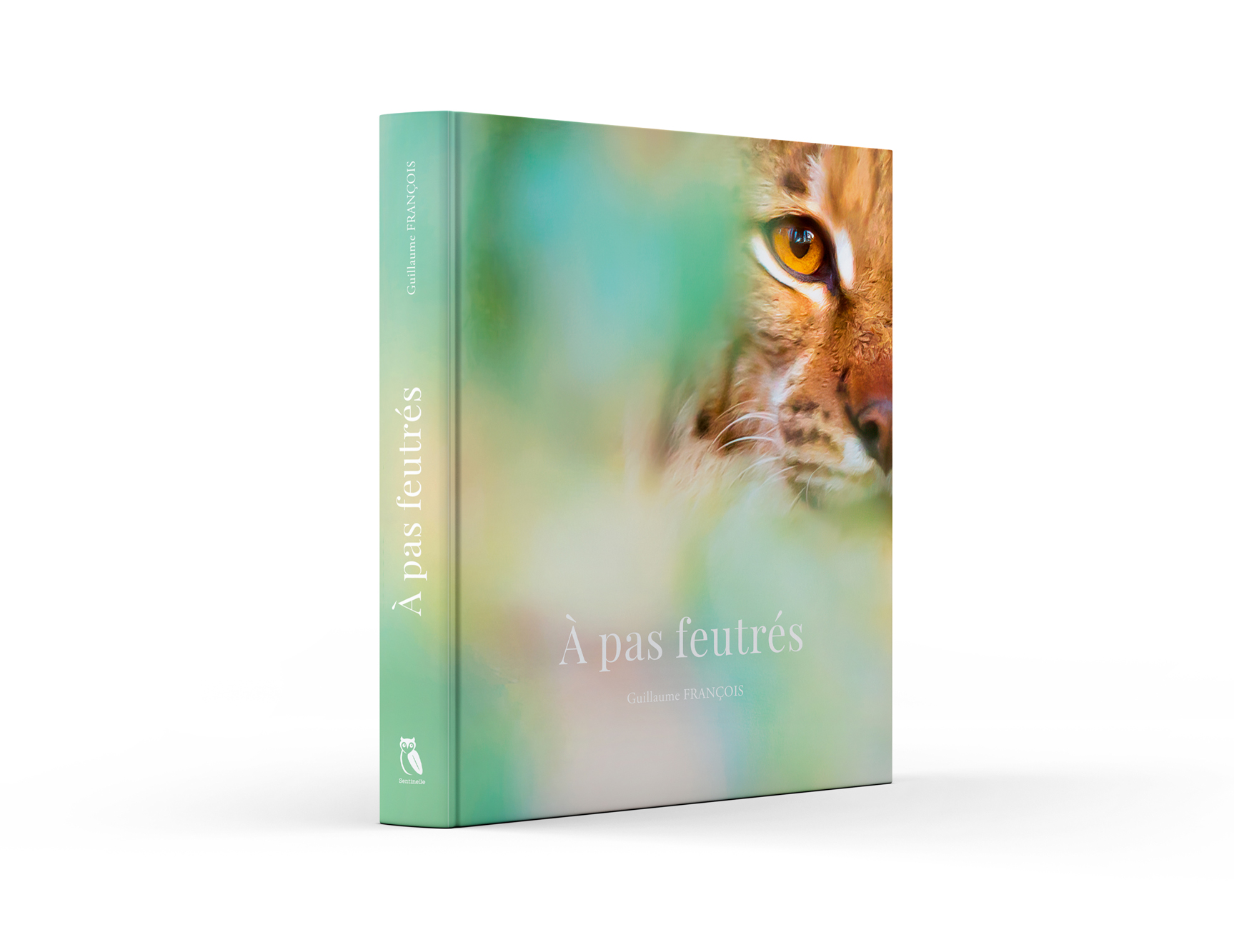 livre-a-pas-feutres-guillaume-francois Livre A pas feutrés par Guillaume FRANCOIS