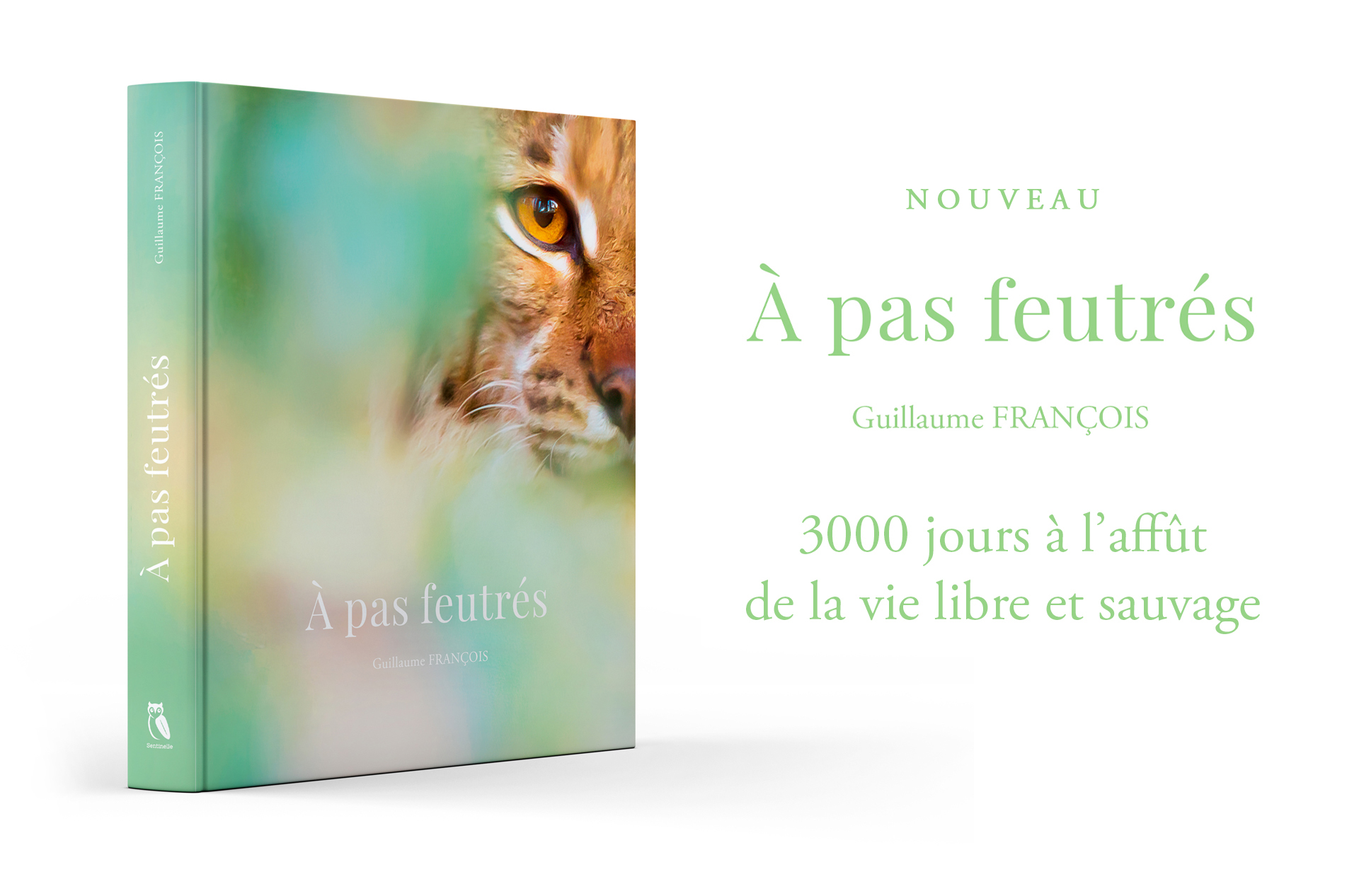 livre-a-pas-feutres-guillaume-francois-preface-hugo-clement