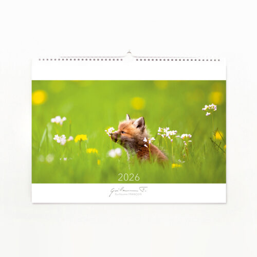 Calendrier d'art 2026